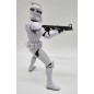 Figurine Statique - Star Wars
