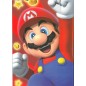 Carnet - Super Mario - Mario