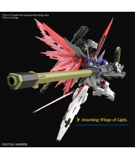 Maquette - High Grade - Gundam - Destiny Spec II & Zeus Sillouette