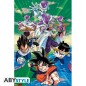 Poster - Rolled and shrink-wrapped - Dragon Ball - Frezza Group