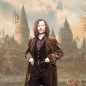 Zauberstab - Ollivander-Kollektion - Harry Potter - Sirius Black