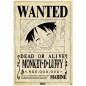 Poster - One Piece - Monkey D. Luffy