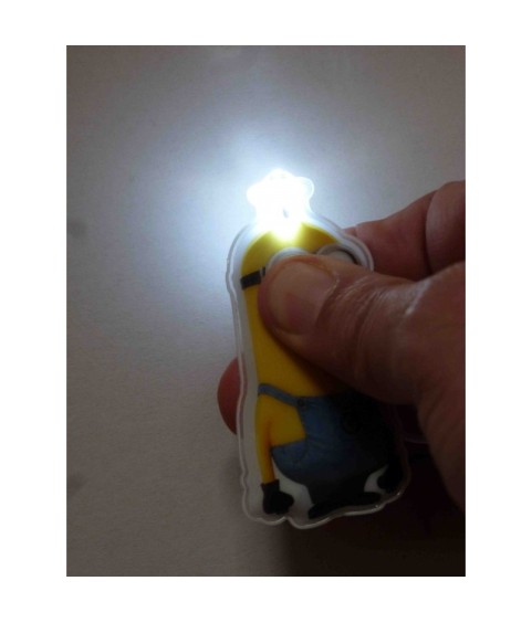 Keychain - Despicable Me - Kevin