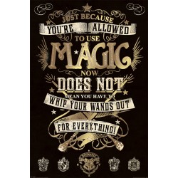 Poster - Harry Potter