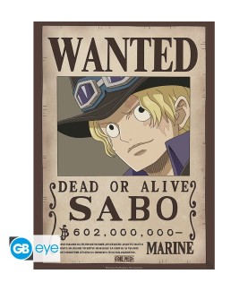 Poster - Packung mit 2 - One Piece - Wanted Sabo & Ace