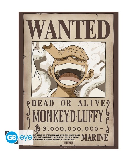 Poster - Pack de 2 - One Piece - Wanted Luffy & Zoro