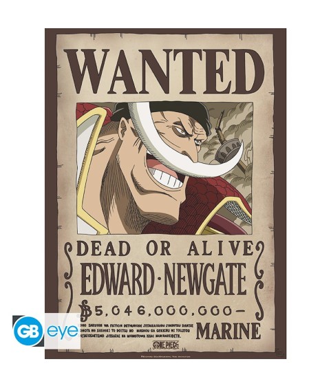 Poster - Pack de 2 - One Piece - Wanted Roger & Newgate