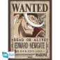 Poster - Set of 2 - One Piece - Wanted Roger & Newgate