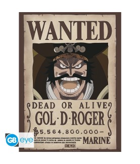 Poster - Pack de 2 - One Piece - Wanted Roger & Newgate