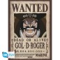Poster - Set of 2 - One Piece - Wanted Roger & Newgate