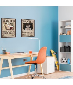 Poster - Pack de 2 - One Piece - Wanted Roger & Newgate