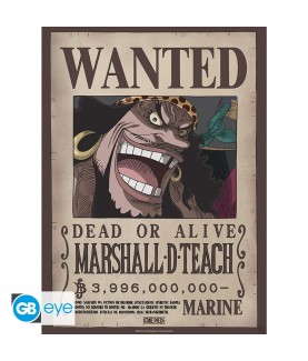 Poster - Packung mit 2 - One Piece - Wanted Shanks & Teach
