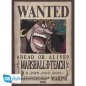 Poster - Pack de 2 - One Piece - Wanted Shanks & Teach
