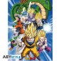 Poster - À plat - Poster - Dragon Ball - Super Sayajin !