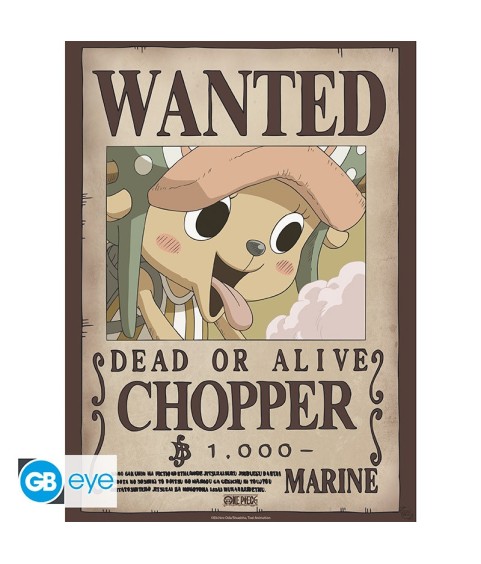 Poster - Pack de 2 - One Piece - Wanted Chopper & Usopp