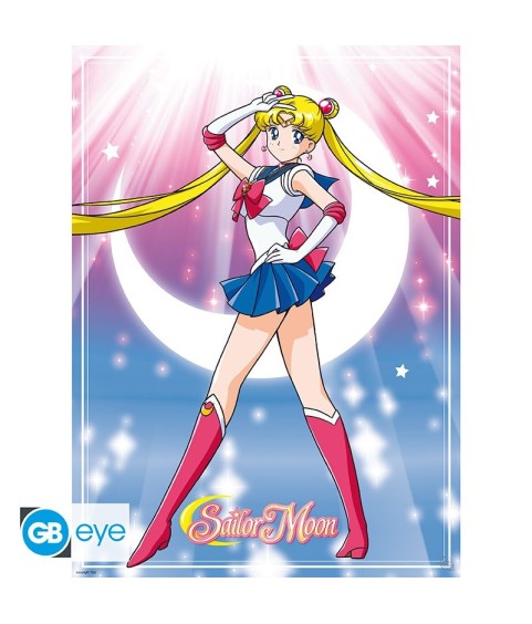 Poster - Packung mit 2 - Sailor Moon - Sailor Moon & Katzen