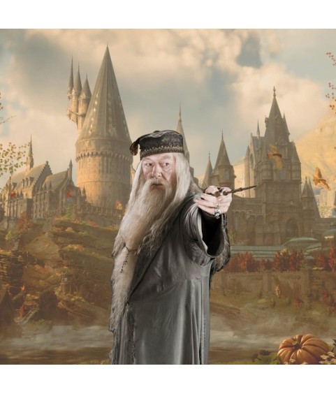 Wand - Harry Potter - Albus Dumbledore