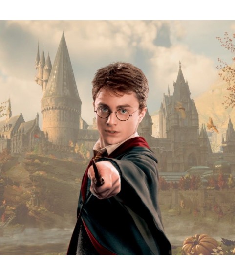 Wand - Harry Potter - Harry Potter