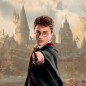Wand - Characters collection - Harry Potter - Harry Potter