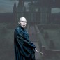 Zauberstab - Sammlung Charaktere - Harry Potter - Lord Voldemort