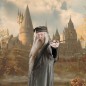 Wand - Characters collection - Harry Potter - Albus Dumbledore Wand - Characters collection - Harry Potter - Albus Dumbledore