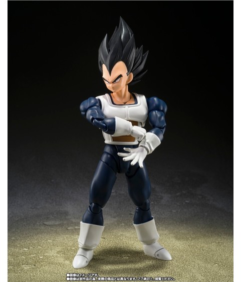 Gelenkfigur - S.H.Figuarts - Dragon Ball - Vegeta