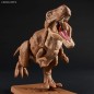 Maquette - Préhistoire - Tyrannosaurus