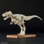 Maquette - Préhistoire - Tyrannosaurus