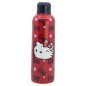 Flasche - Isotherme - Sanrio - Doodle - Hello Kitty