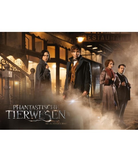 Puzzle - Casse tête/Réflexion - Indépendant de la langue - Les Animaux Fantastiques - 500 pcs