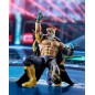 Gelenkfigur - S.H.Figuarts - Tekken - King, Anger of Beast