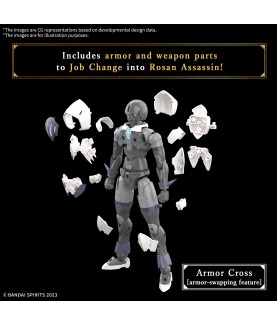 Modell - 30 Minutes Fantasy - Rosan Assassin