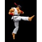 Action Figure - Street Fighter - Ryu