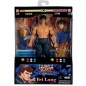 Action Figure - Street Fighter - Fei Long