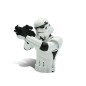 Objet de décoration - Tirelire - Star Wars - Storm Trooper