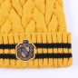 Beanie - Harry Potter - Hufflepuff - Unisexe 