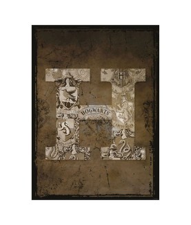 Poster - Pack de 2 - Harry Potter - Blasons & Poudlard