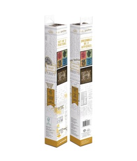 Poster - Pack de 2 - Harry Potter - Blasons & Poudlard