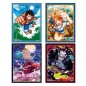 Sleeves - One Piece - 12 pack set - Official Sleeve 8