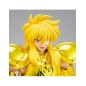 Action Figure - Myth Cloth EX - Saint Seiya - Aquarius Hyoga