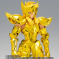 Action Figure - Myth Cloth EX - Saint Seiya - Aquarius Hyoga
